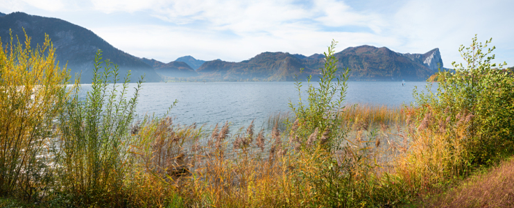 Bild-Nr: 12752352 Naturlandschaft Mondsee Erstellt von: SusaZoom