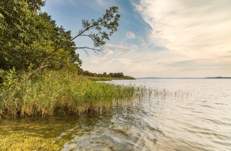 Bild-Nr: 12752806 Seelandschaft Müritz Nationalpark Erstellt von: Ursula Reins