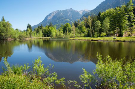 Bild-Nr: 12752936 Moorweiher Oberstdorf Erstellt von: SusaZoom