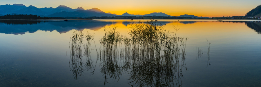 Bild-Nr: 12753104 Sonnenuntergang am Hopfensee Erstellt von: Walter G. Allgöwer