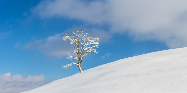 Bild-Nr: 12753457 Winter im Allgäu Erstellt von: Walter G. Allgöwer