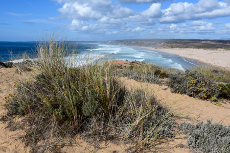 Bild-Nr: 12753528 Strand in Portugal Erstellt von: Bettina Schnittert