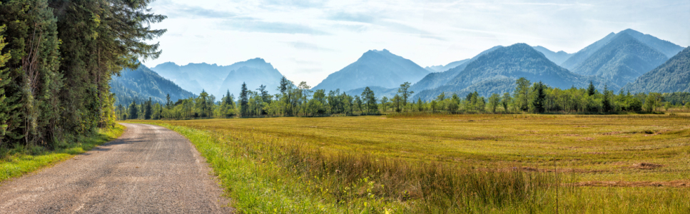 Bild-Nr: 12753640 Landschaft Murnauer Moos Erstellt von: SusaZoom