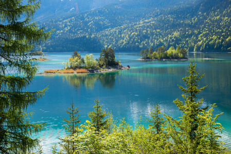 Bild-Nr: 12754027 Almbichl und Ludwigsinsel im Eibsee Erstellt von: SusaZoom