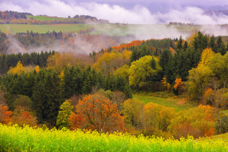 Bild-Nr: 12754797 Schwarzwald im Herbst Erstellt von: Patrick Lohmüller