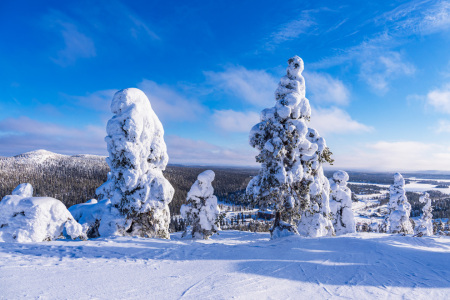 Bild-Nr: 12754887 Landschaft mit Schnee im Winter in Ruka Erstellt von: Rico Ködder