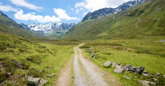 Bild-Nr: 12755812 Wanderweg im Schweizer Dischmatal Erstellt von: SusaZoom