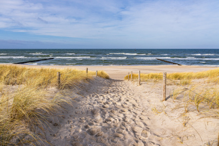 Bild-Nr: 12756607 Strand an der Küste der Ostsee Erstellt von: Rico Ködder