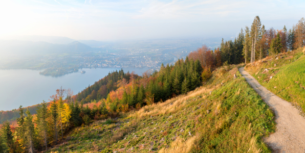 Bild-Nr: 12757266 Wanderweg am Grünberg Gmunden Erstellt von: SusaZoom