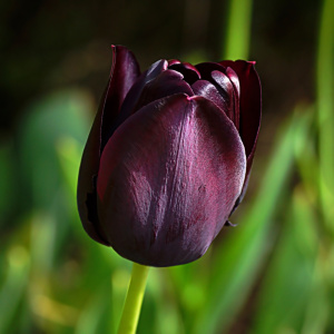 Bild-Nr: 12757609 Waiting for spring Erstellt von: youhaveadream