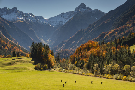 Bild-Nr: 12758634 Trettachtal im Herbst Erstellt von: Walter G. Allgöwer