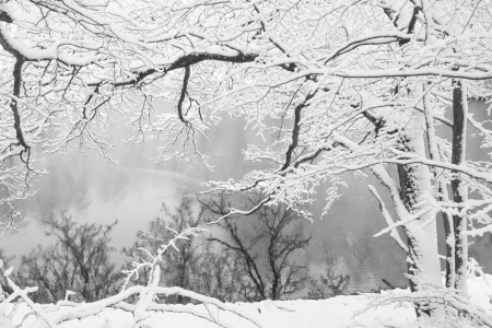 Bild-Nr: 12759070 winterliche Spiegelung Erstellt von: Bettina Schnittert