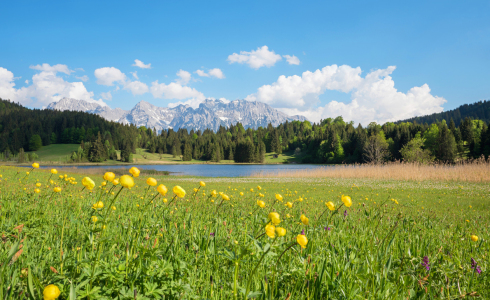 Bild-Nr: 12759587 Frühlingslandschaft Geroldsee Erstellt von: SusaZoom