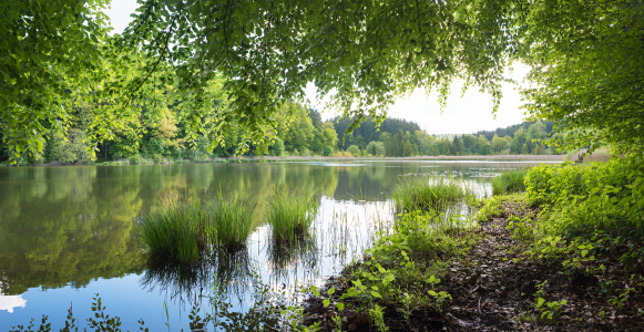 Bild-Nr: 12759813 Thanninger Weiher Erstellt von: SusaZoom