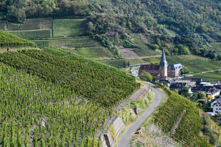 Bild-Nr: 12760370 Weinberg im Ahrtal Erstellt von: Bettina Schnittert