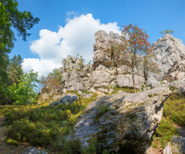 Bild-Nr: 12760441 Quarzfelsen in Viechtach am Großen Pfahl Erstellt von: SusaZoom