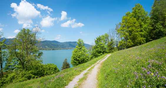 Bild-Nr: 12760800 Frühlingshügel am Tegernsee Erstellt von: SusaZoom