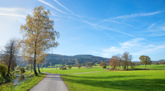 Bild-Nr: 12760888 Blick ins Auer Weitmoos Bad Feilnbach Erstellt von: SusaZoom