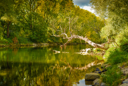 Bild-Nr: 12762647 An der Donau Erstellt von: Gregor Handy