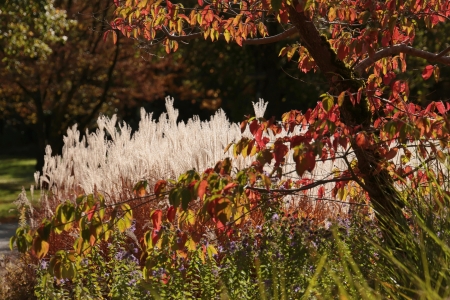 Bild-Nr: 12762741 HERBST Erstellt von: kadorka