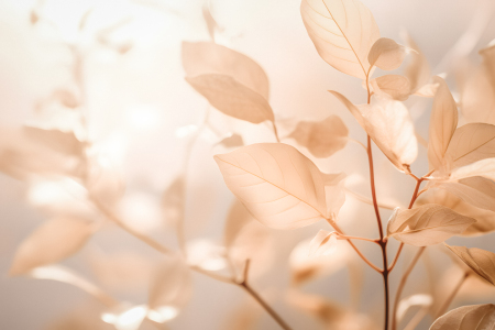 Bild-Nr: 12763592 Sonnenträumer KI Erstellt von: Steffen Gierok