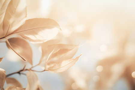 Bild-Nr: 12763595 glanzblätter KI Erstellt von: Steffen Gierok