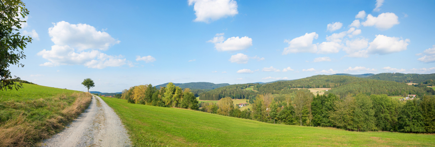 Bild-Nr: 12764201 Spazierweg im Bayerischen Wald Erstellt von: SusaZoom