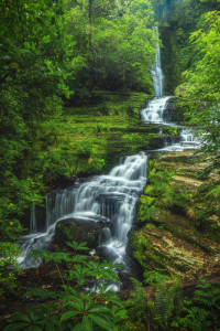 Bild-Nr: 12764373 Neuseeland McLean Wasserfall in den Catlins Erstellt von: Jean Claude Castor
