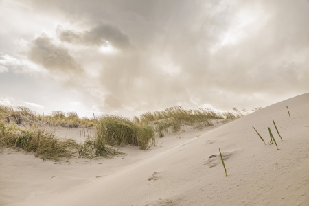 Bild-Nr: 12764652 Am Dünenstrand von SPO   Erstellt von: Ursula Reins