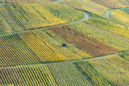 Bild-Nr: 12764741 der Rotenberg im Herbst Erstellt von: Walter G. Allgöwer