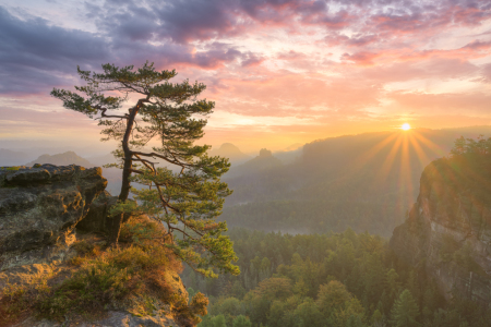 Bild-Nr: 12765027 Sonnenaufgang in der Sächsischen Schweiz Erstellt von: Michael Valjak