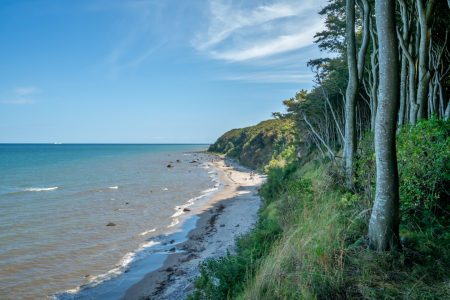 Bild-Nr: 12765174 Zauberwald auf der Insel Rügen Erstellt von: volker heide