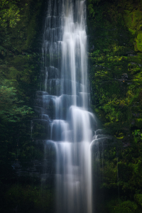 Bild-Nr: 12765181 Neuseeland McLean Wasserfall in den Catlins Erstellt von: Jean Claude Castor