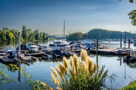 Bild-Nr: 12768399 Schiersteiner Hafen 33 Erstellt von: Erhard Hess