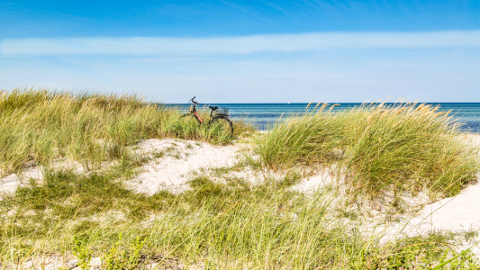 Bild-Nr: 12773563 in Sichtweite zum Ostseestrand Erstellt von: Ursula Reins