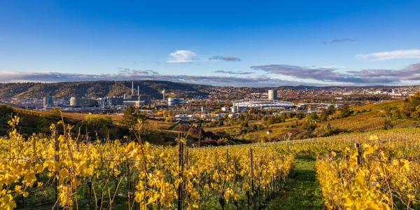 Bild-Nr: 12774468 Weinberge und MHPArena  Bad Cannstatt - Stuttgart Erstellt von: dieterich