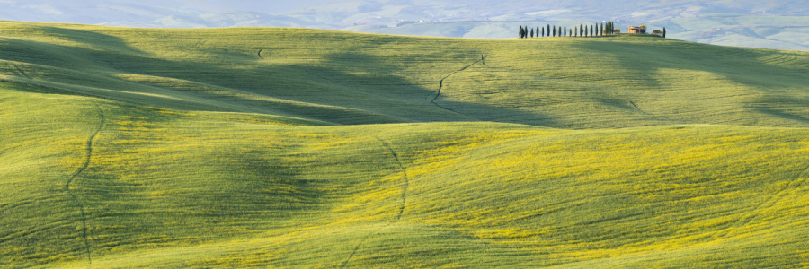 Bild-Nr: 12781200 Frühling in der Toskana Erstellt von: Walter G. Allgöwer