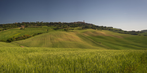 Bild-Nr: 12782373 Pienza Erstellt von: Walter G. Allgöwer