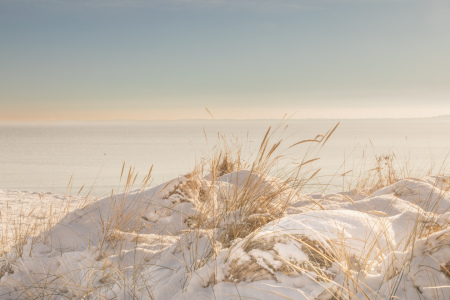 Bild-Nr: 12783419 Stranddünen unter Schneeflocken Erstellt von: Ursula Reins