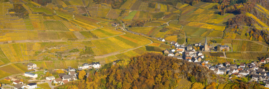 Bild-Nr: 12784962 Herbst im Ahrtal Erstellt von: Walter G. Allgöwer