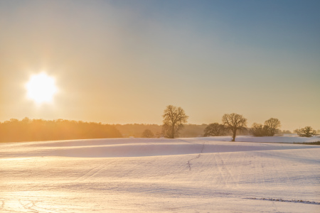 Bild-Nr: 12785772 Winterlandschaft   Erstellt von: Ursula Reins