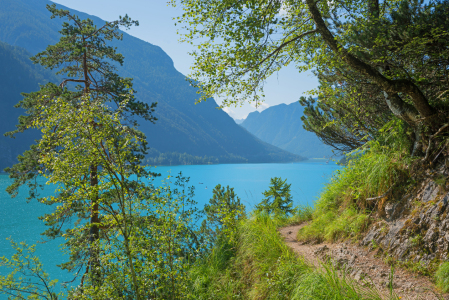 Bild-Nr: 12786078 Gaisalmsteig am Achensee Erstellt von: SusaZoom