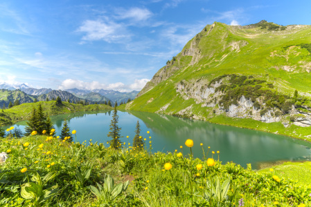 Bild-Nr: 12789015 Trollblumen und Seealpsee Erstellt von: Walter G. Allgöwer