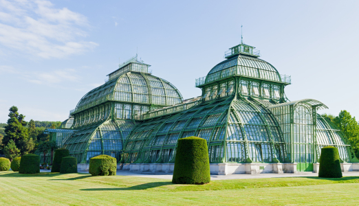 Bild-Nr: 12791987 Palmenhaus in Wien Erstellt von: wompus