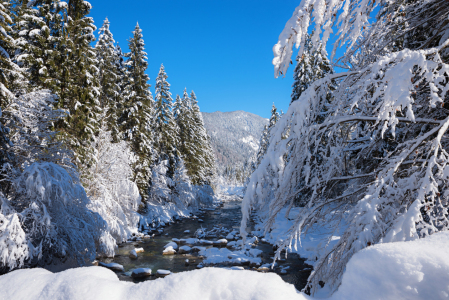 Bild-Nr: 12792156 Winter an der Weissach Erstellt von: SusaZoom