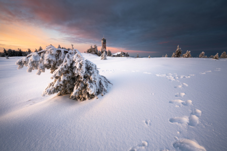 Bild-Nr: 12793456 Winterlandschaft auf der Hornisgrinde Erstellt von: Marcel Heinzmann