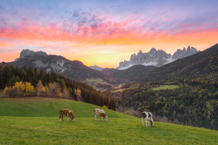 Bild-Nr: 12794098 Blick ins Villnösstal in Südtirol  Erstellt von: Michael Valjak