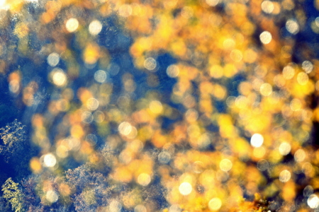 Bild-Nr: 12794866 Herbst II Erstellt von: GUGIGEI