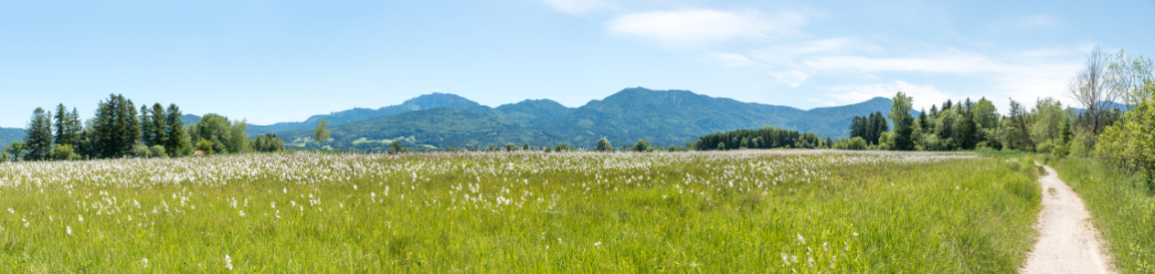 Bild-Nr: 12795118 Wanderweg entlang der Loisach bei Benediktbeuern Erstellt von: SusaZoom