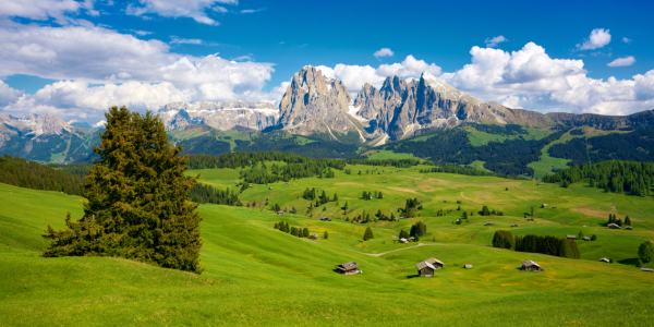 Bild-Nr: 12796348 Seiser Alm mit Langkofel und Sella im Hintergrund Erstellt von: Reiner Würz